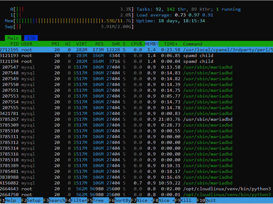 htop showing CPU and memory meters and a list of running processes