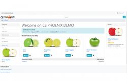 CE Phoenix 0