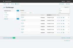 ExpressionEngine 4
