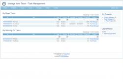 Manage Your Team 0