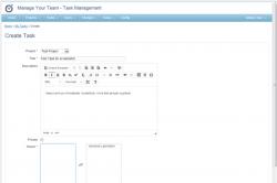 Manage Your Team 2