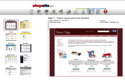 ShopSite 6