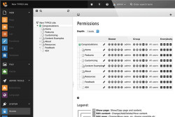 TYPO3 13 1