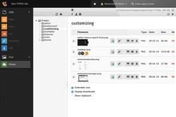TYPO3 13 3