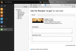 TYPO3 13 4